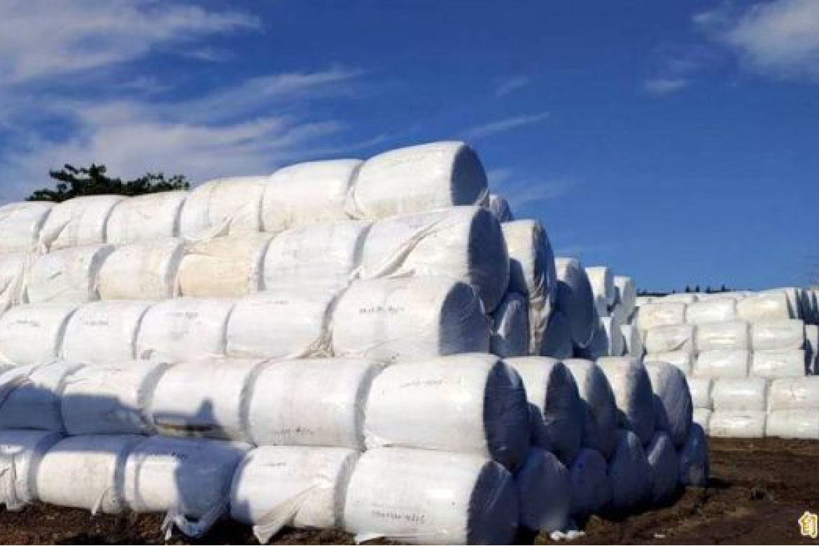 自由時報 - 打包計畫奏效南投「垃圾山」不見了