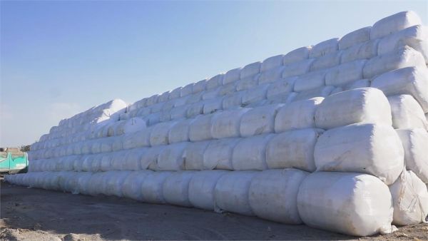 中市「垃圾分選打包計畫」啟動　壓縮減積！　清除大里掩埋場裸露垃圾｜民視新聞網 2